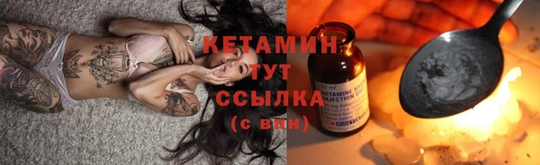 крисы Покачи