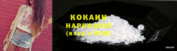 крисы Покачи
